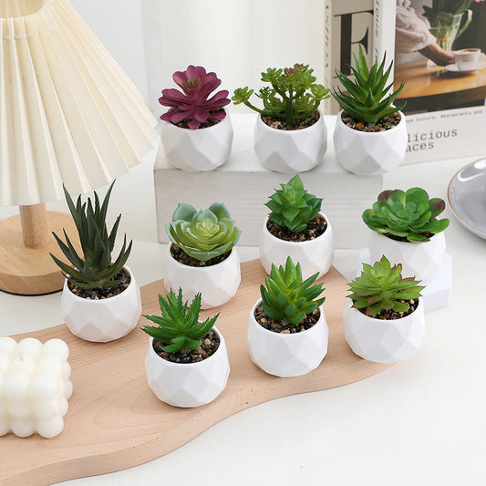 Succulent Potted Home Landscaping Decoration Ornaments